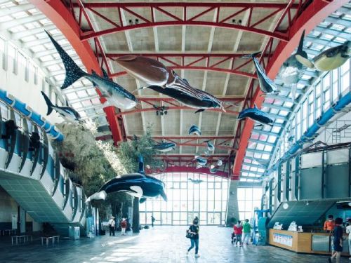 兒童連假玩翻屏東！一到三日動感遊程，開啟春日冒險模式